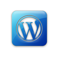 wordpress2